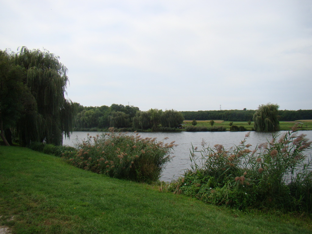 Sportnap 2020. 08. 30. Kecskéd,Horgásztanya