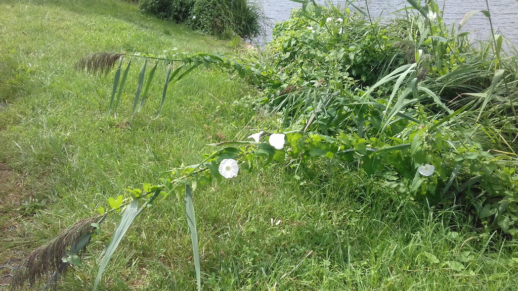 Sportnap 2020. 08. 30. Kecskéd,Horgásztanya